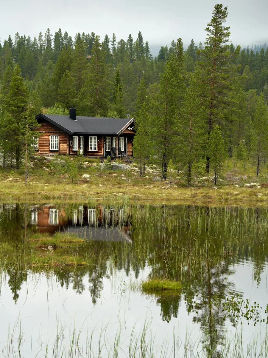 Log cabin by a still lake in the forest in summer