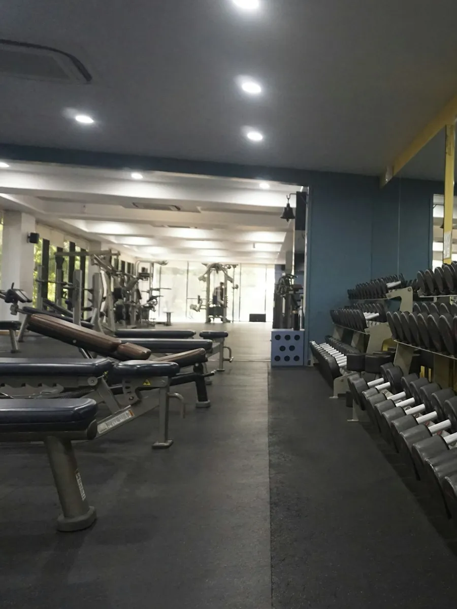 Bright gym with rows of dumbbells along the wall